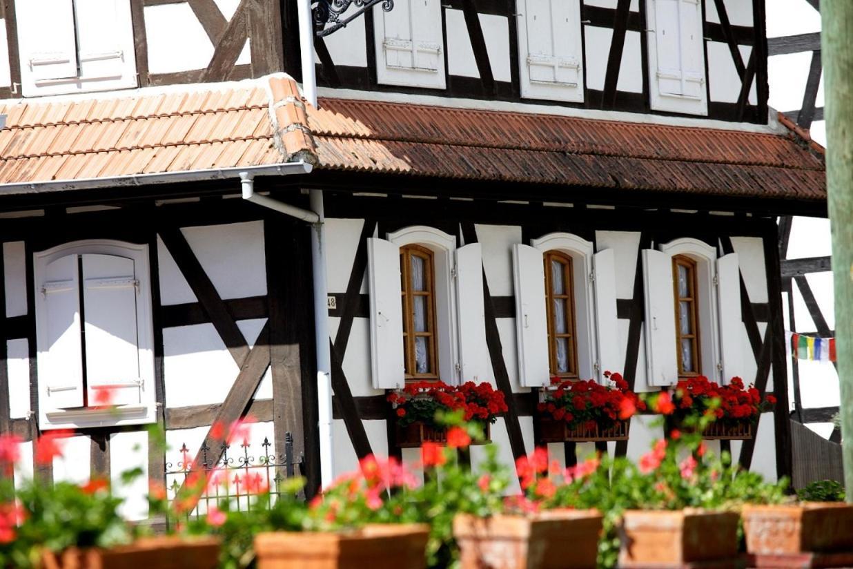 Gites Et Chambres D'Hotes Maison Ungerer Hunspach Zewnętrze zdjęcie