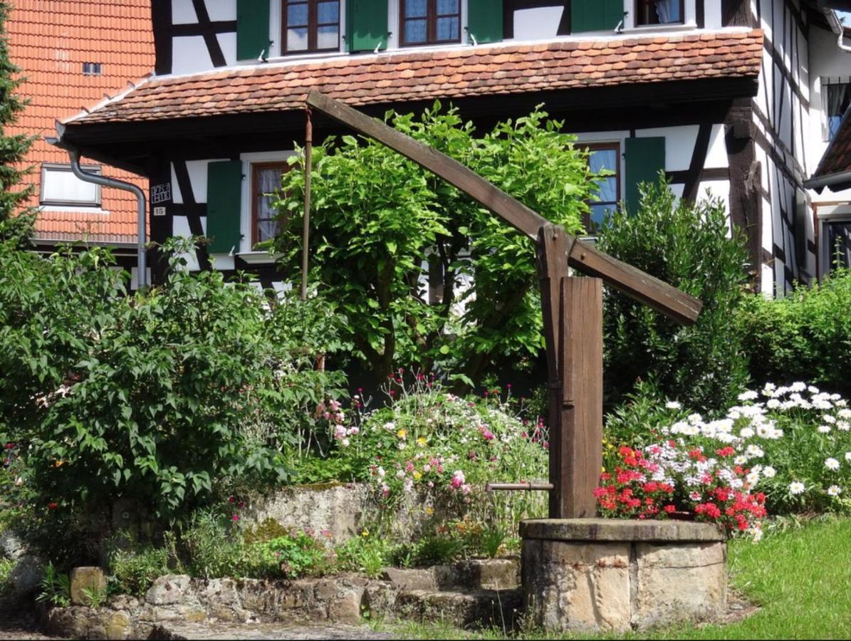 Gites Et Chambres D'Hotes Maison Ungerer Hunspach Zewnętrze zdjęcie