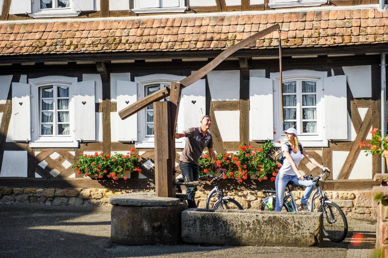Gites Et Chambres D'Hotes Maison Ungerer Hunspach Zewnętrze zdjęcie