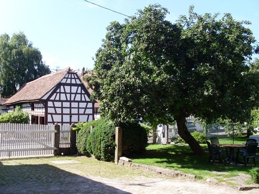 Gites Et Chambres D'Hotes Maison Ungerer Hunspach Zewnętrze zdjęcie