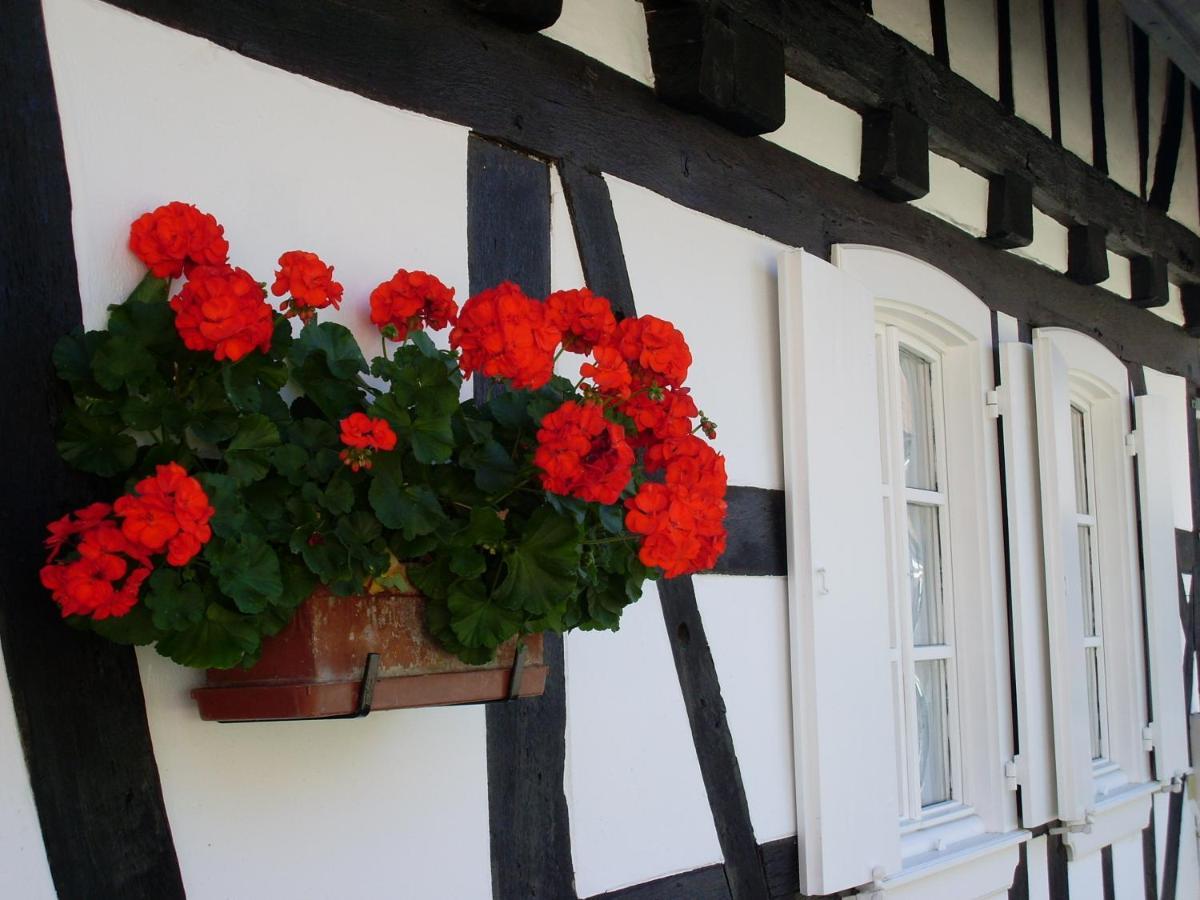 Gites Et Chambres D'Hotes Maison Ungerer Hunspach Zewnętrze zdjęcie