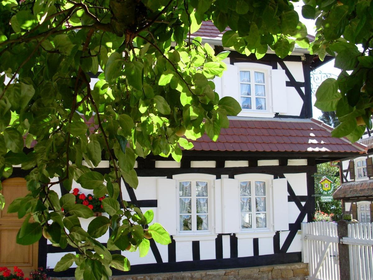 Gites Et Chambres D'Hotes Maison Ungerer Hunspach Zewnętrze zdjęcie
