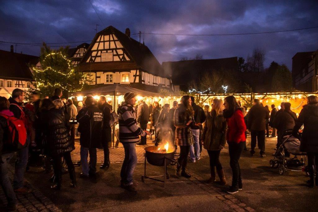 Gites Et Chambres D'Hotes Maison Ungerer Hunspach Zewnętrze zdjęcie