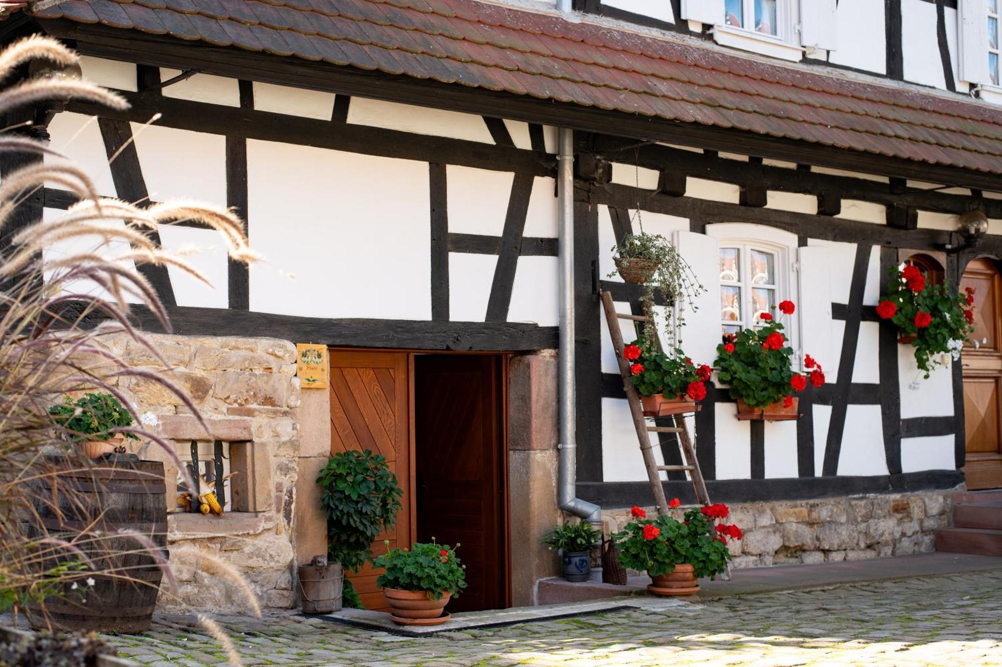 Gites Et Chambres D'Hotes Maison Ungerer Hunspach Zewnętrze zdjęcie