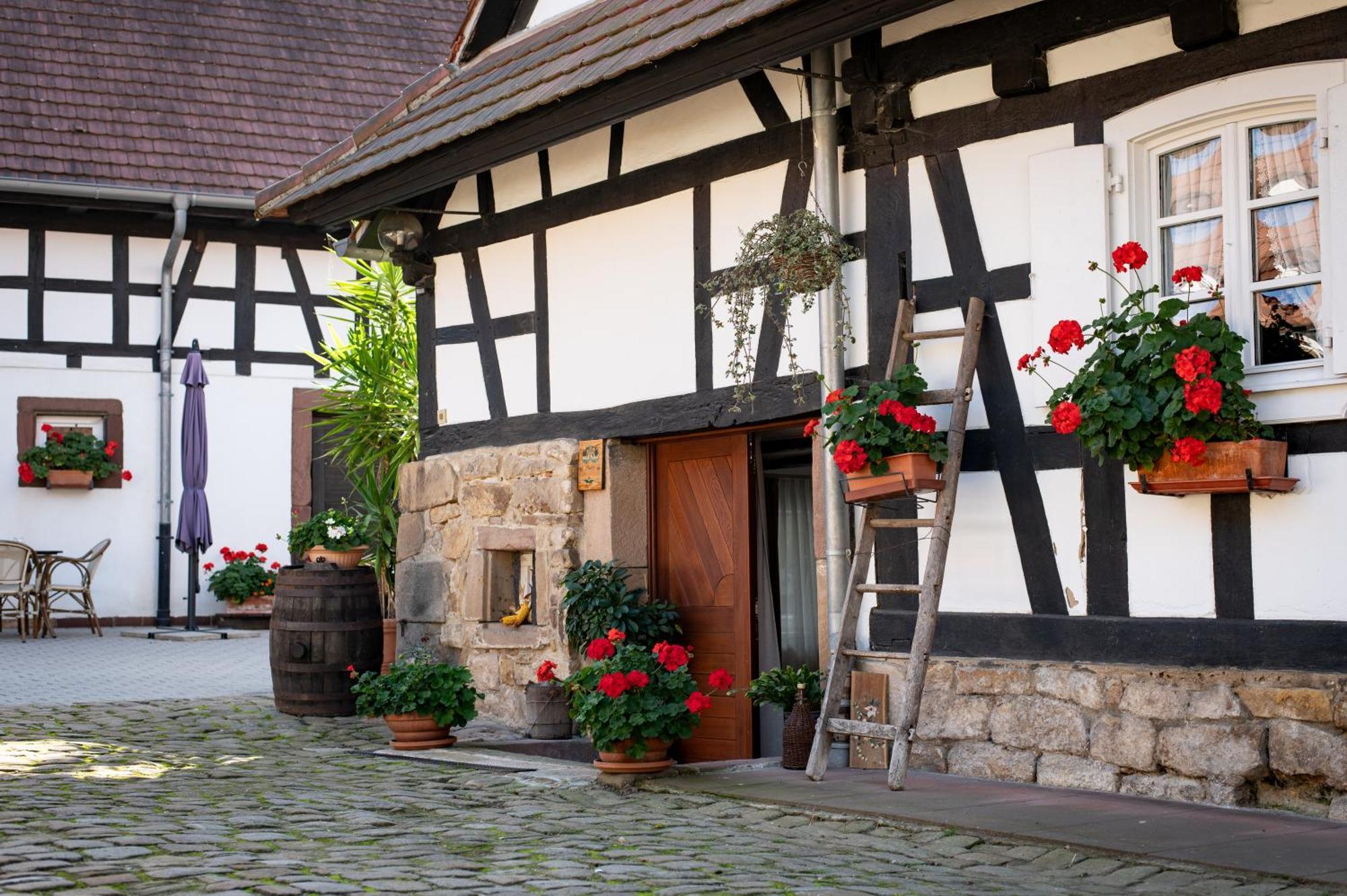 Gites Et Chambres D'Hotes Maison Ungerer Hunspach Zewnętrze zdjęcie