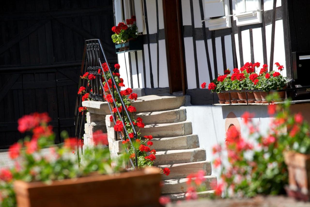 Gites Et Chambres D'Hotes Maison Ungerer Hunspach Zewnętrze zdjęcie